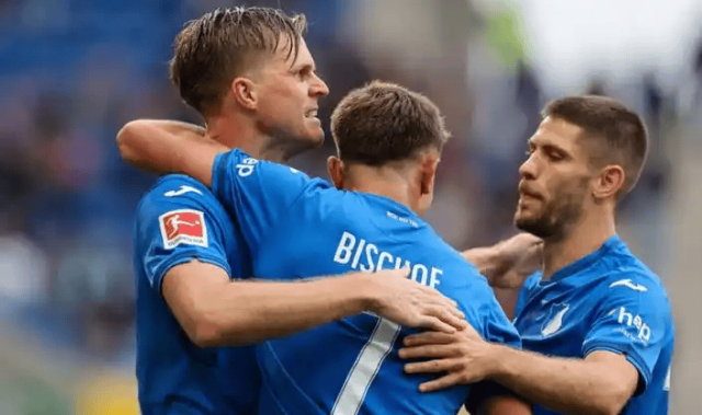 德甲 云达不来梅VS霍芬海姆